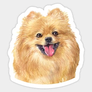 Orange Pomeranian Watercolor Art Sticker